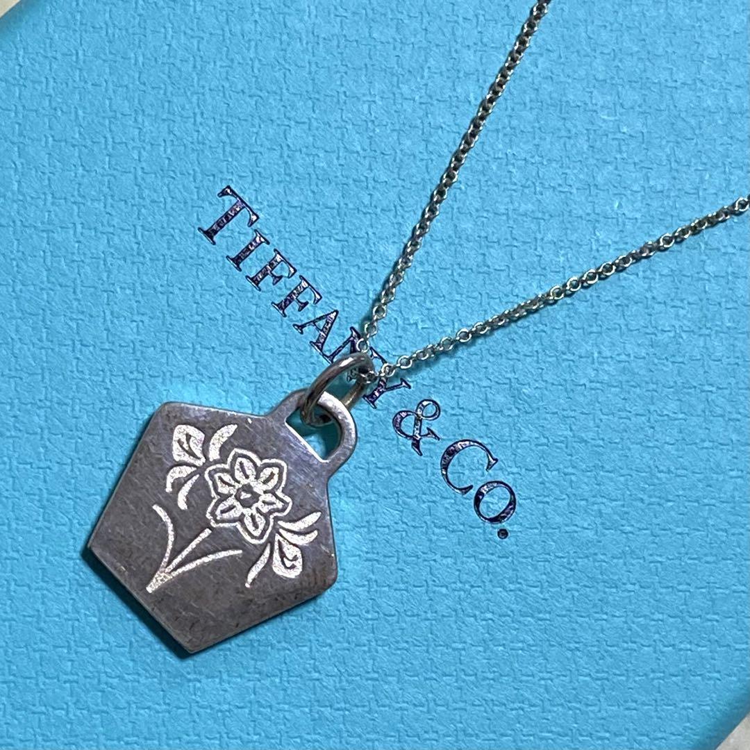 付属品完備❗️✨ティファニー　ペンダントネックレス　シルバーGOWOMEN2021