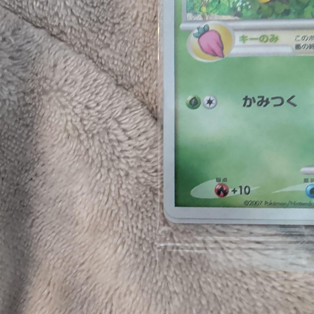 【未開封】トレーナズクラブプロモ　ナエトル　マナフィ　セット