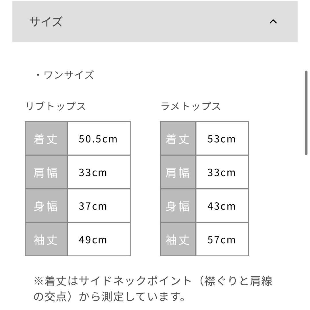 ジンジャーリブ・ラメシアートップスセット　COHINA