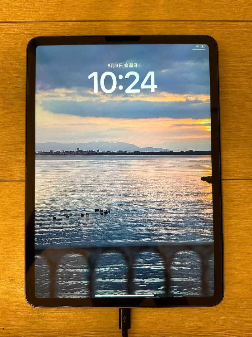 2021 Apple 11インチiPad Pro (256GB) +その他機材