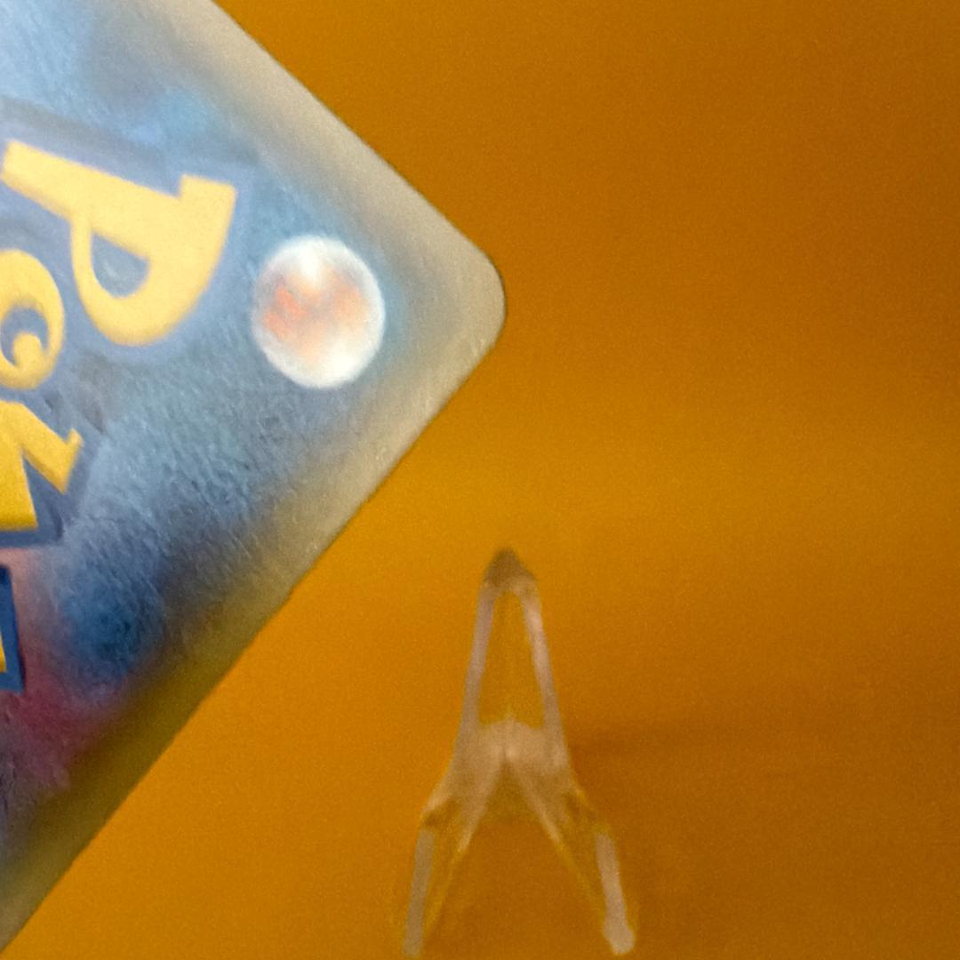 オールナイトパーティ トレーナーズカード ブラッキー ポケモンカードジム プロモ