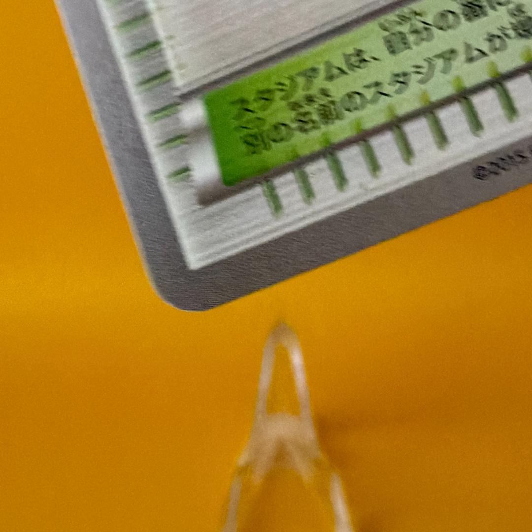 オールナイトパーティ トレーナーズカード ブラッキー ポケモンカードジム プロモ