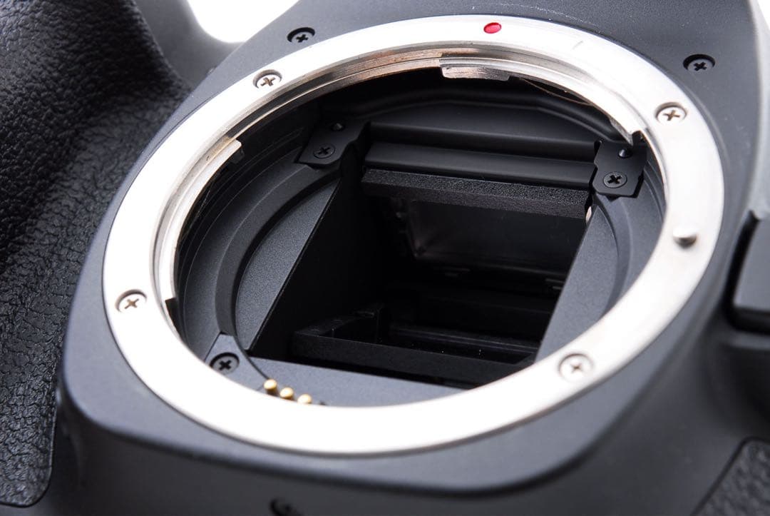 キャノン Canon EOS 80D デジタル一眼レフ カメラ ボディ