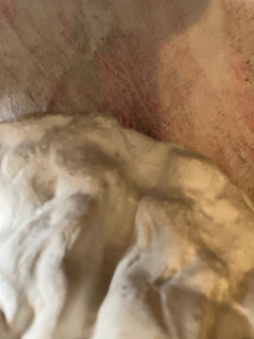 石膏像　モーゼ大顔面　基礎デッサン美大受験