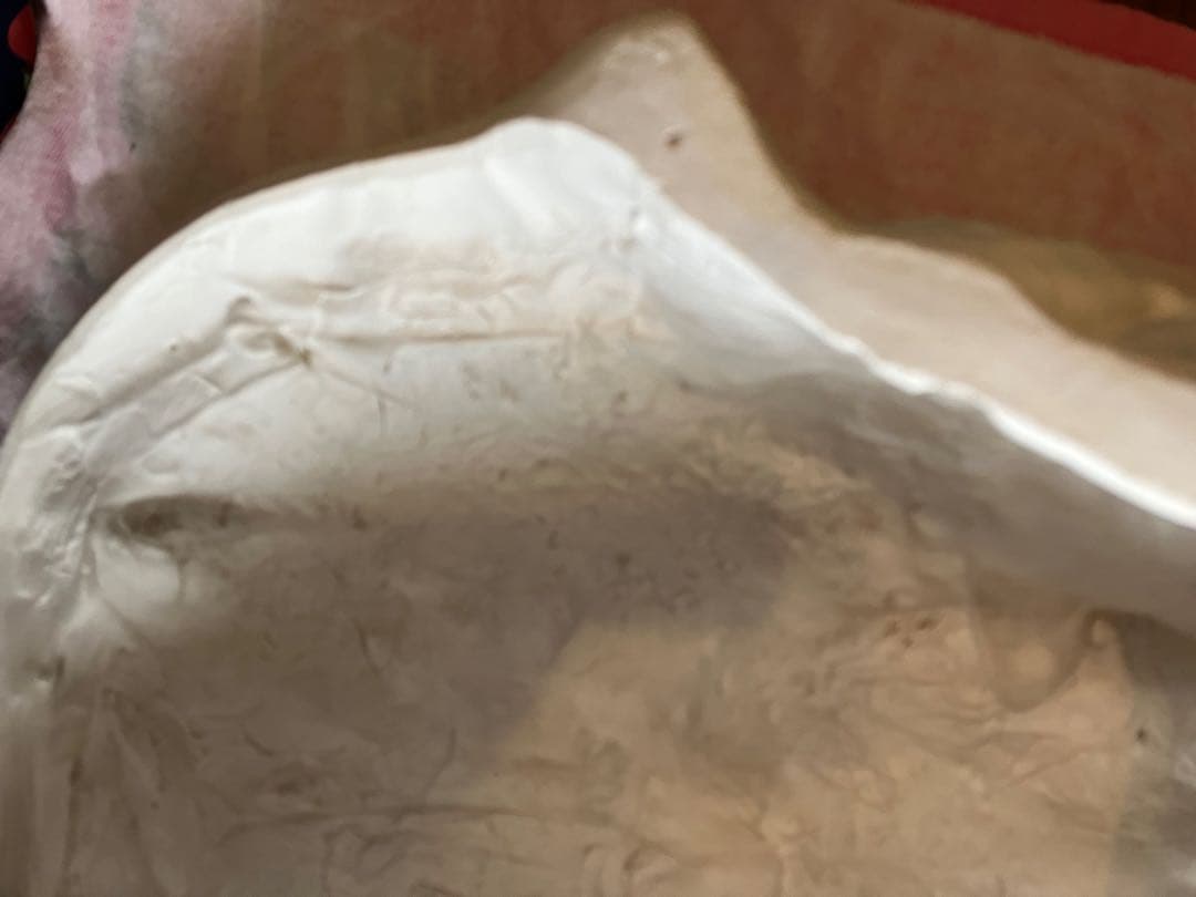 石膏像　モーゼ大顔面　基礎デッサン美大受験