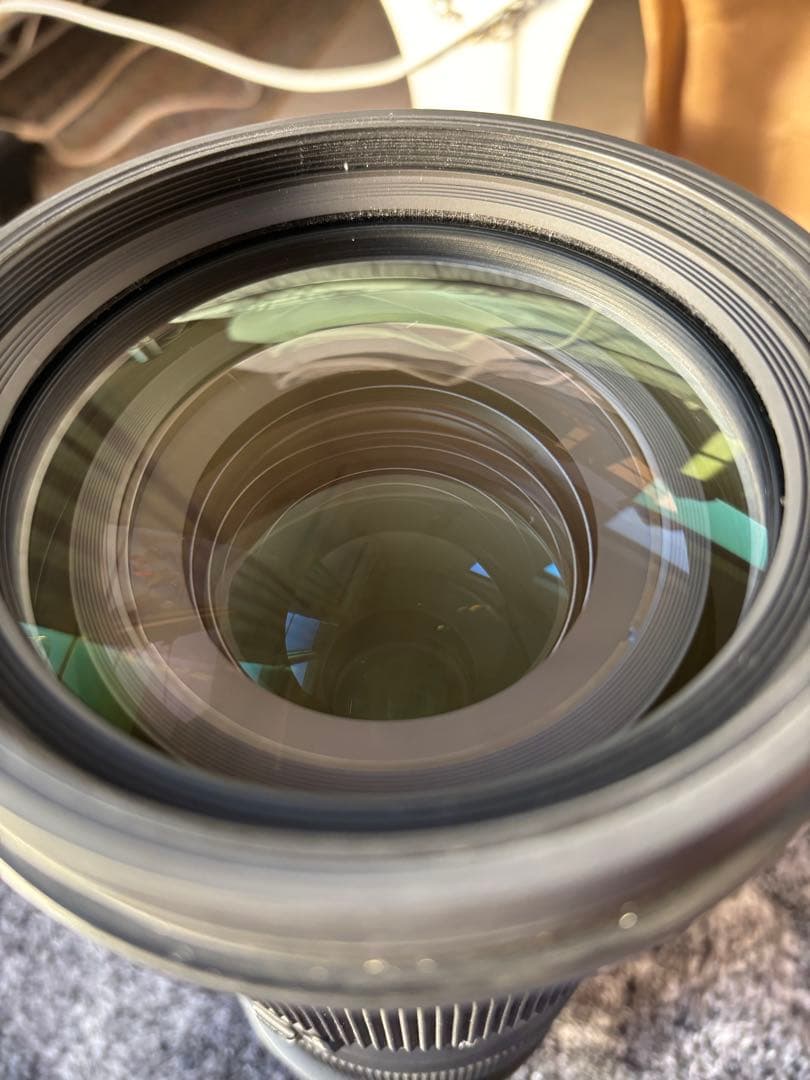 h*9様 SIGMA 60-600mm F4.5-6.3 DG OS HSM