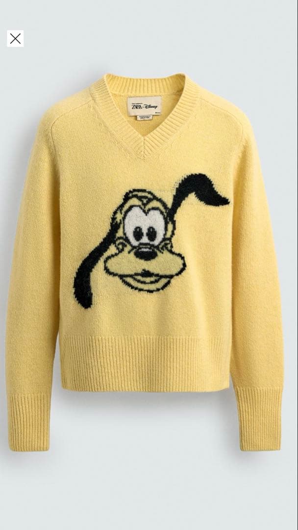 新品　プルート　HARRYLAMBERT ZARA×DISNEY XL