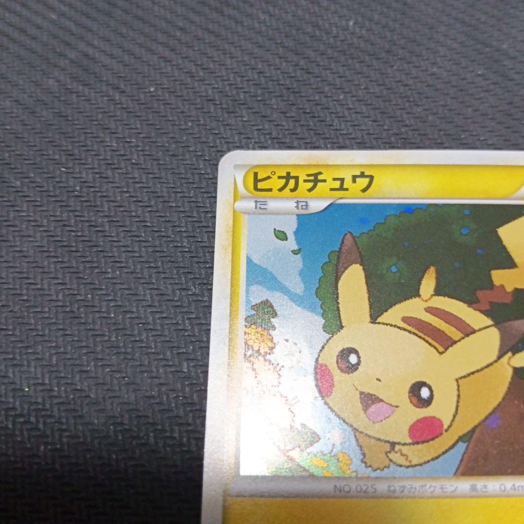 ピカチュウ　019/L-P