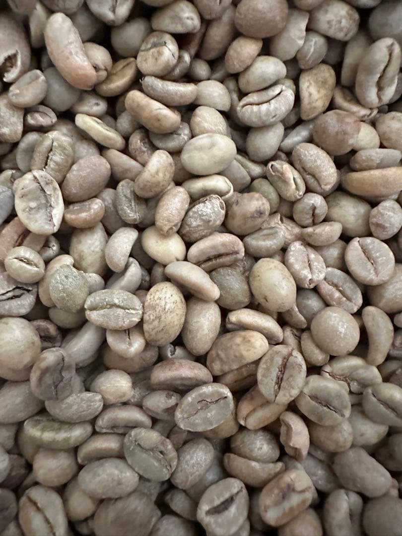 爆安‼︎コーヒー生豆/おまかせ3種7kg