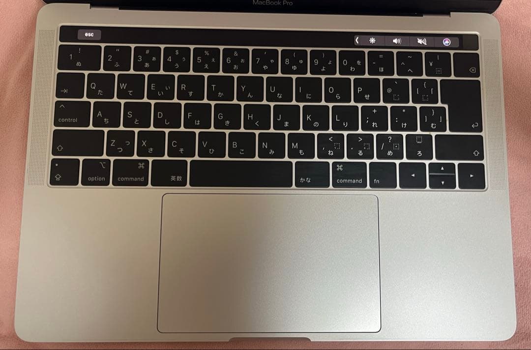 美品MacBook Pro 2019 2019年8GB 128GB充放電49回
