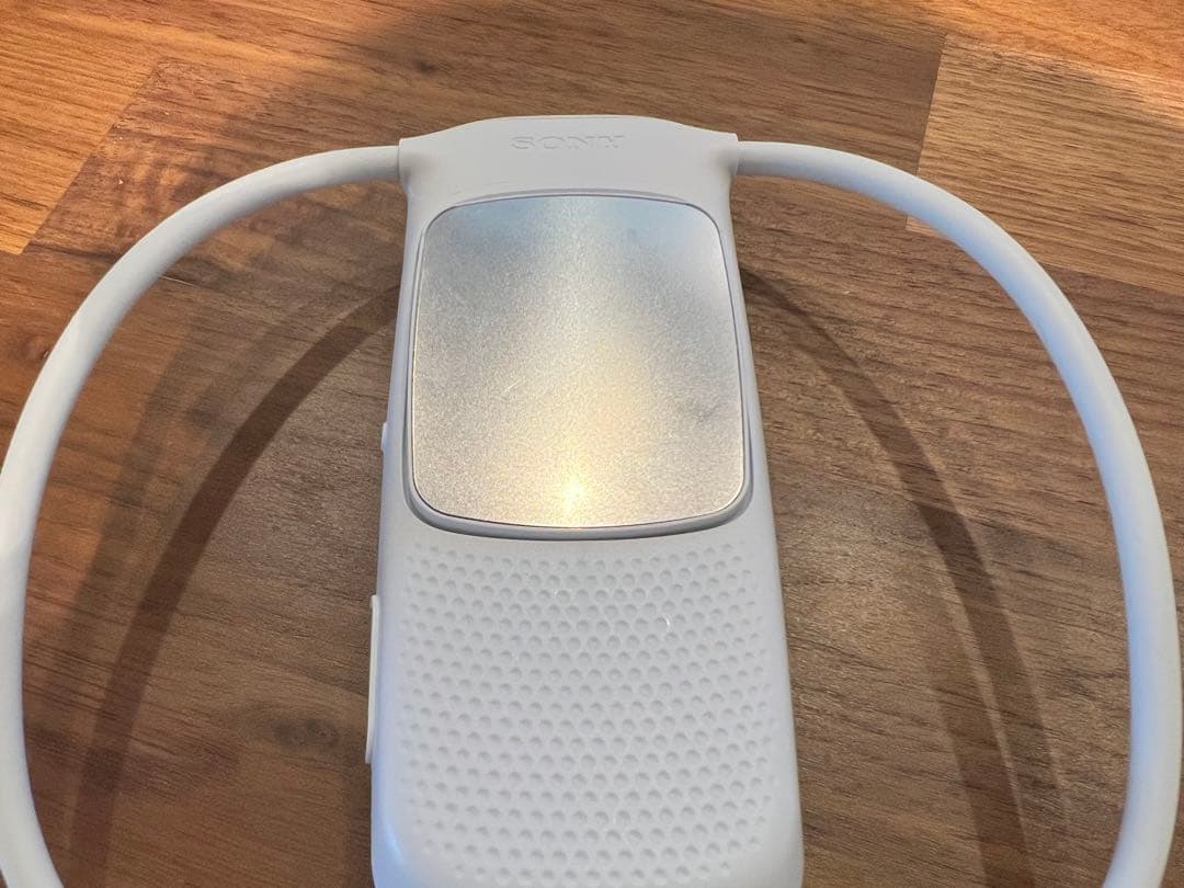 ソニー（SONY）　REON POCKET5　ケース付　レオンポケット