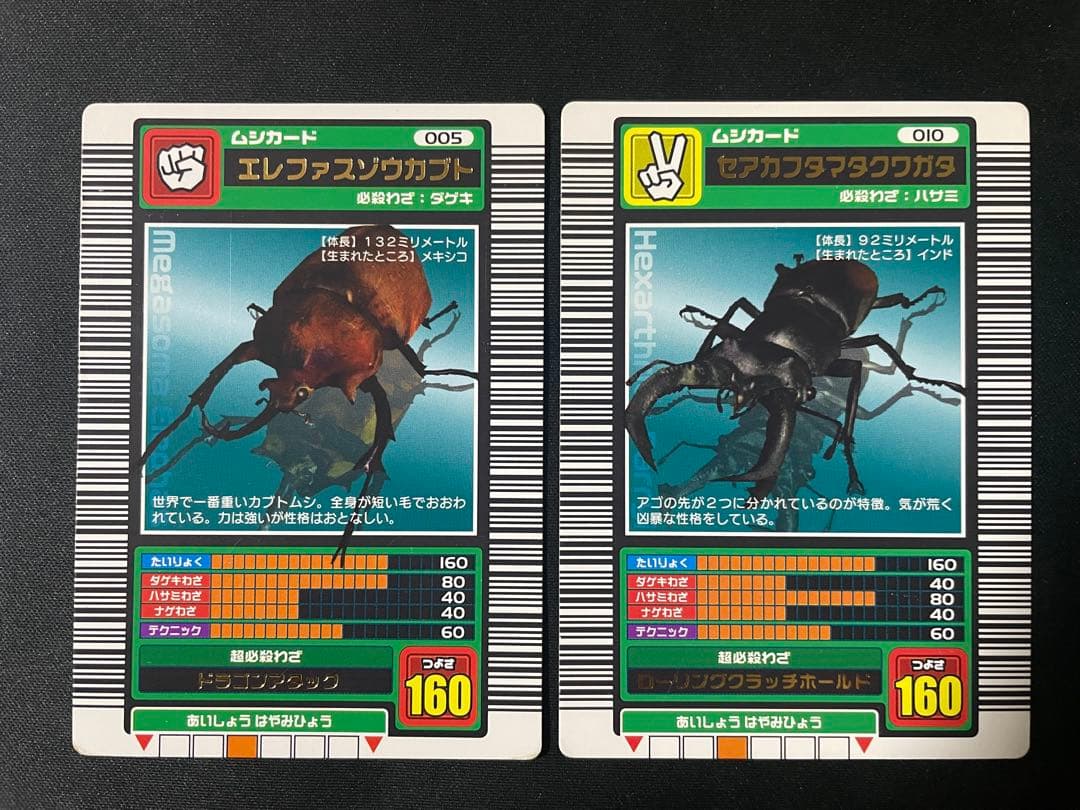 ムシキング　ロングバーコード　まとめ売り　エレファスゾウカブト　セアカフタマタ他