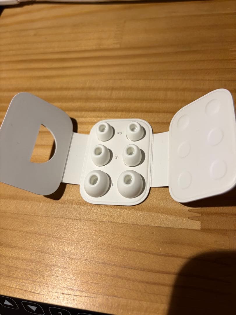 AirPods Pro 第二世代 A2698 Lightning 純正