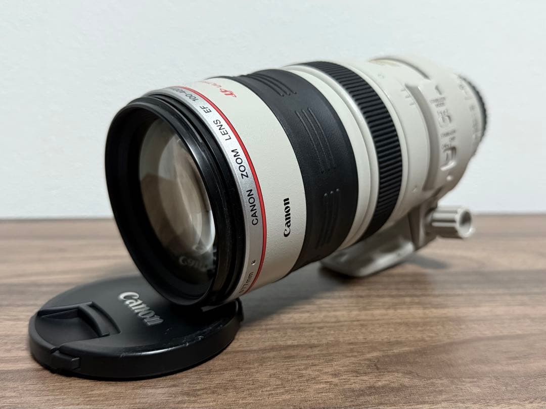 Canon EF100-400mm F4.5-5.6L IS(純正交換レンズ)