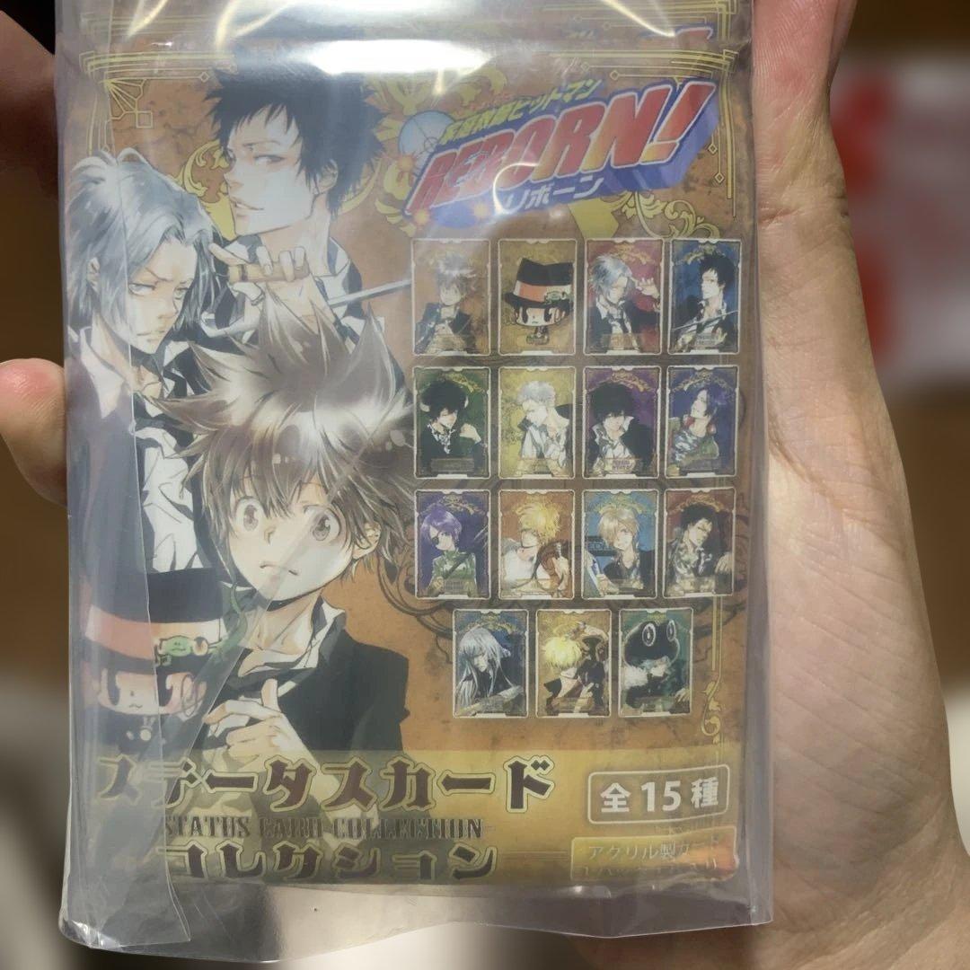 家庭教師ヒットマン REBORN ステータスカード 新品未開封品15点セットx3