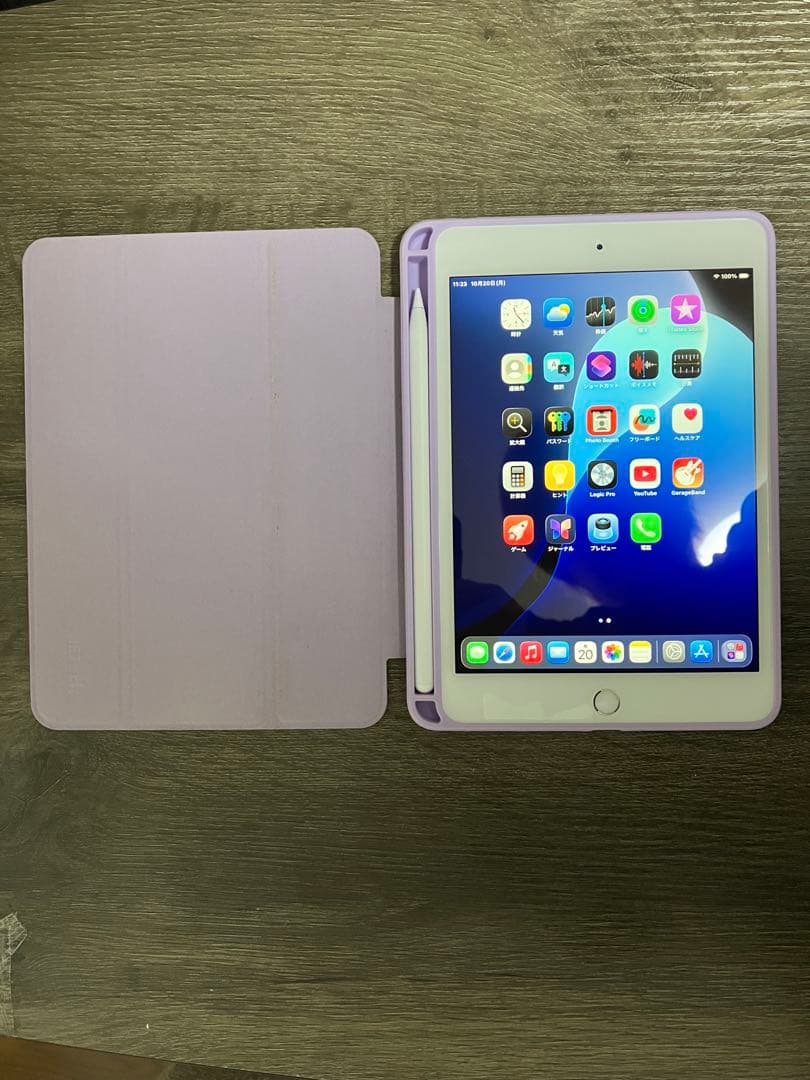 iPad mini 5世代 64gb Wi-Fiモデル