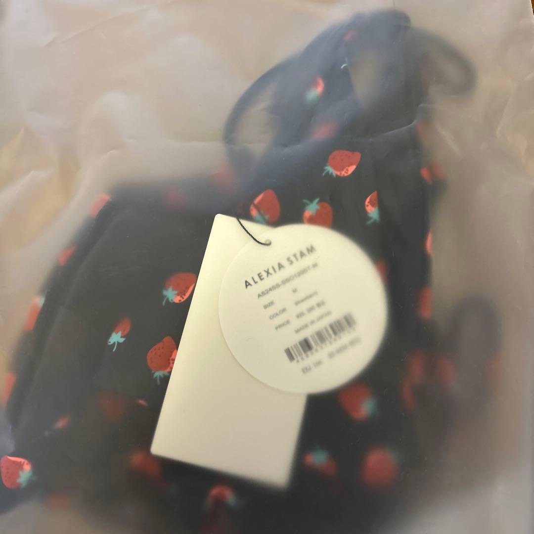 ロージールーチェ×ALEXIASTAM コラボビキニ 新品タグ付