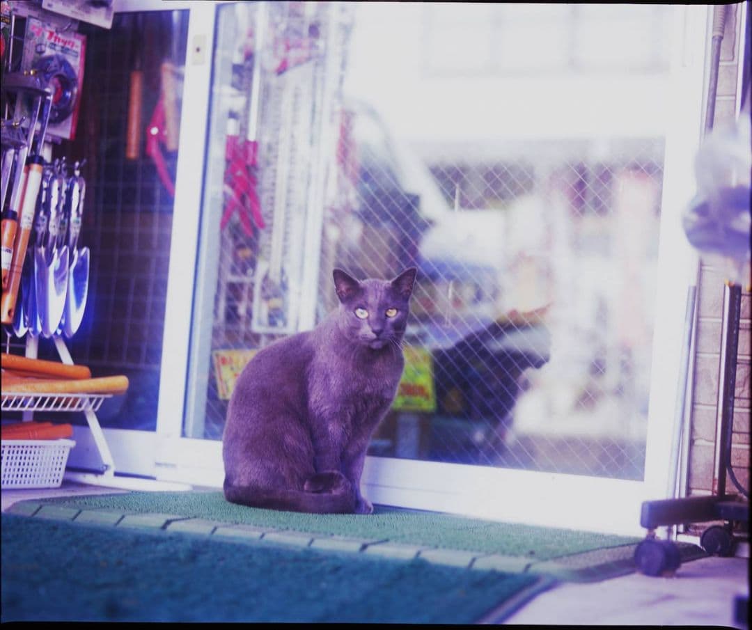 Mamiya RB67 Pro S 中判 250mm・360mmレンズ テレコン