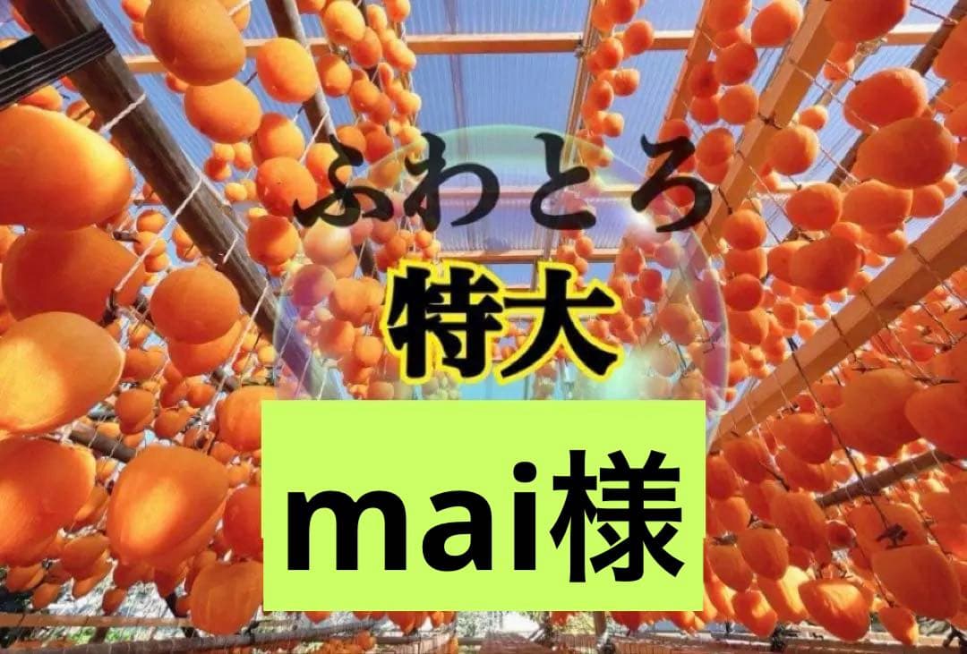 mai様 1号　特大12個と 1号20個入りの2箱セット