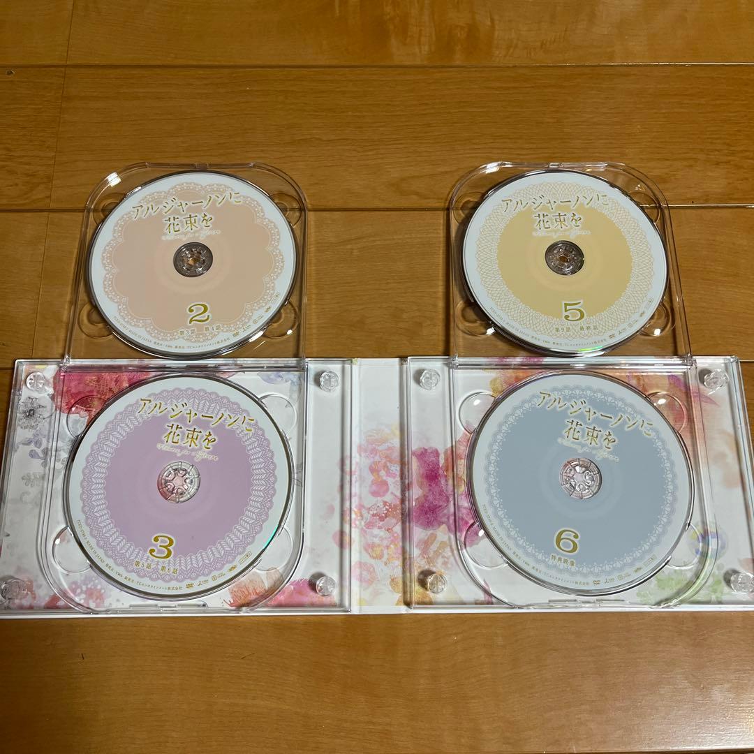 アルジャーノンに花束を　ドラマDVD 山下智久