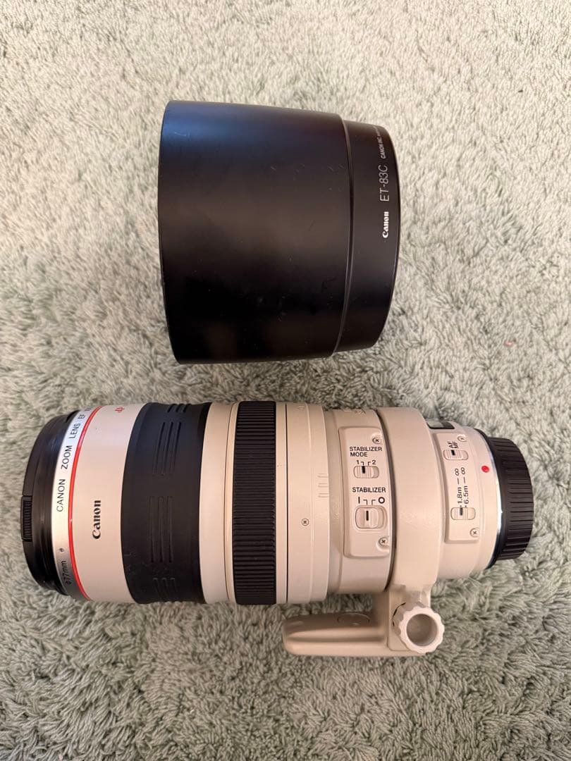 チ*中様 Canon EF 100-400mm f/4.5-5.6L IS US