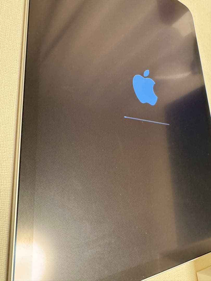 【美品】iPad Pro11インチ第2世代1TB箱あり 初期化済み即発送