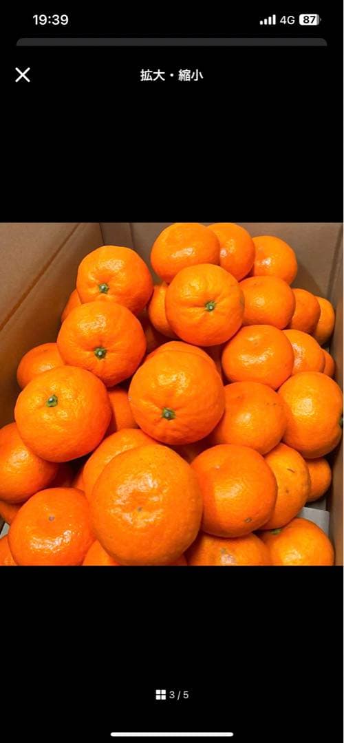 みかん