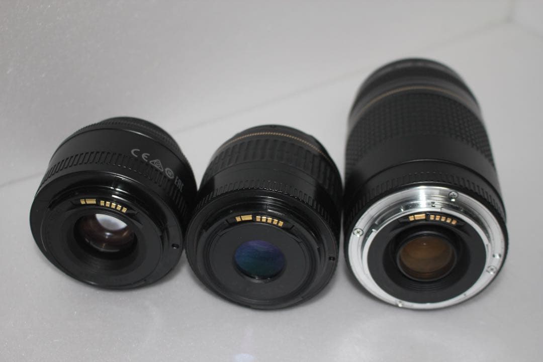 デジタル一眼レフカメラCanon EOS 90D標準&望遠&単焦点レンズセット