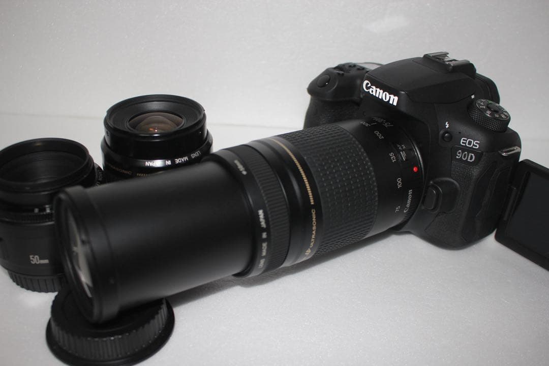 デジタル一眼レフカメラCanon EOS 90D標準&望遠&単焦点レンズセット