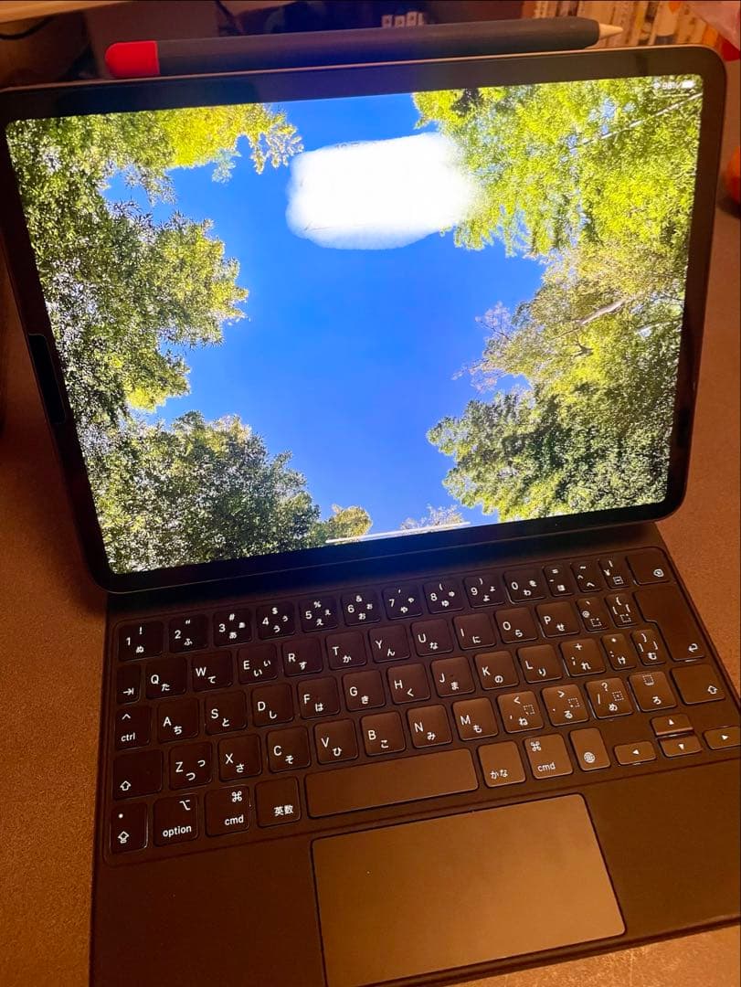 iPadPro 11インチ 第2世代 256GB/Magic Keyboard他