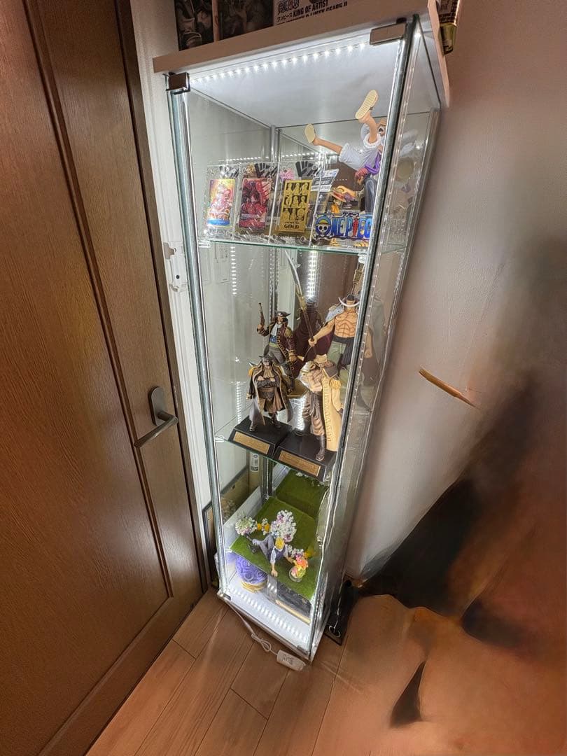 不二貿易 コレクションケース 幅42.5×奥36.5×高160cm 背面ミラー