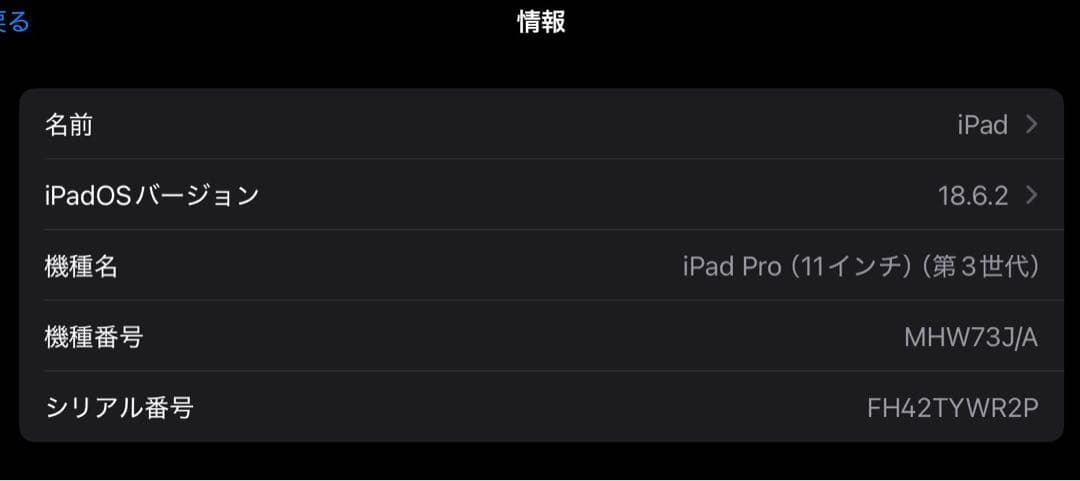 〖美品〗iPad Pro 11インチ 第三世代 Wi-Fi+Cellular