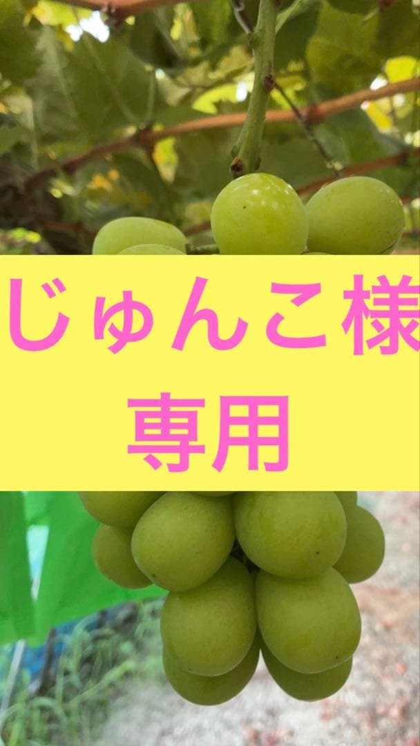 ※10/28発送※じゅんこ様⭐︎シャイン4kg4房詰め×2箱