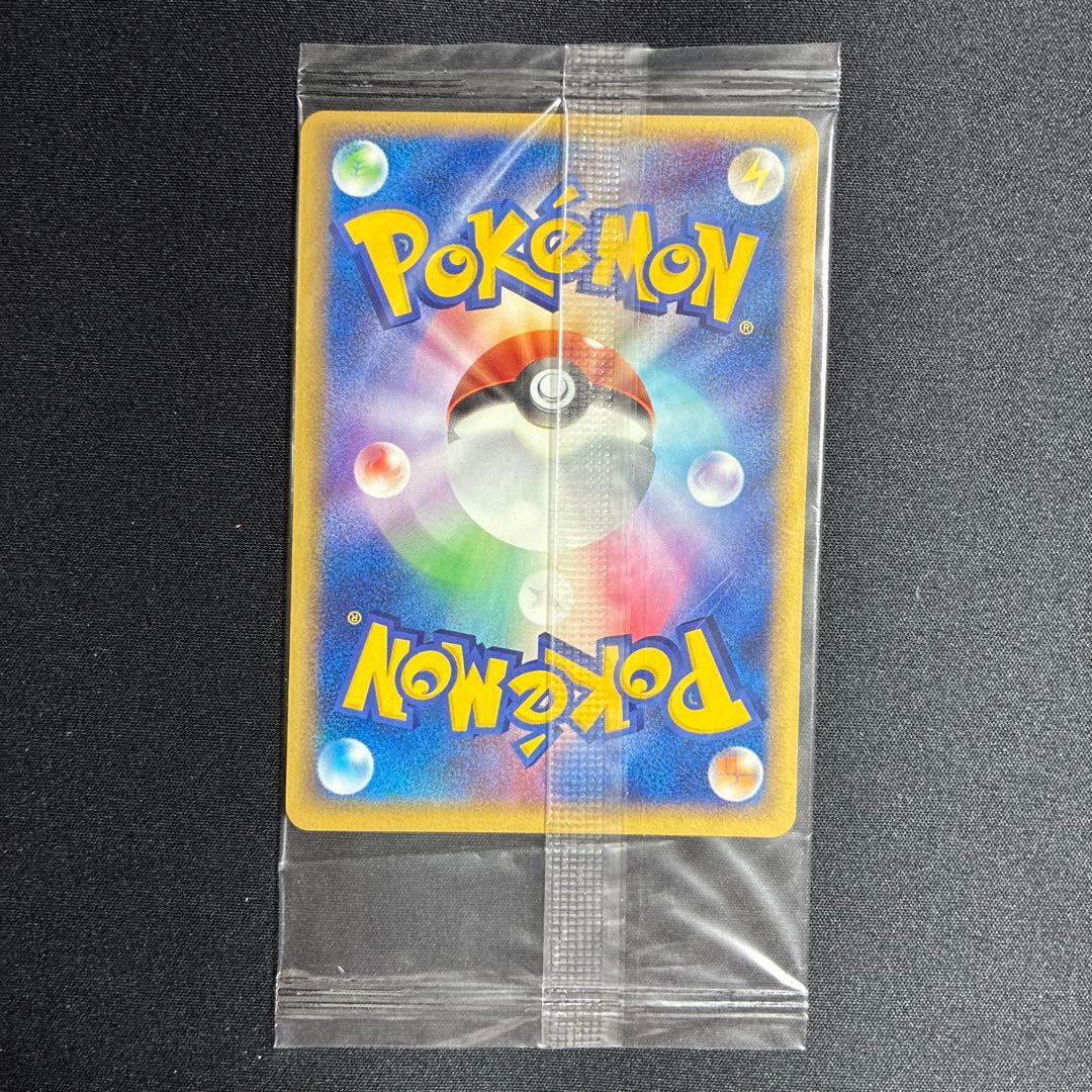 ポケパーク グラードン プロモ 042/PCG-P ポケモンカード