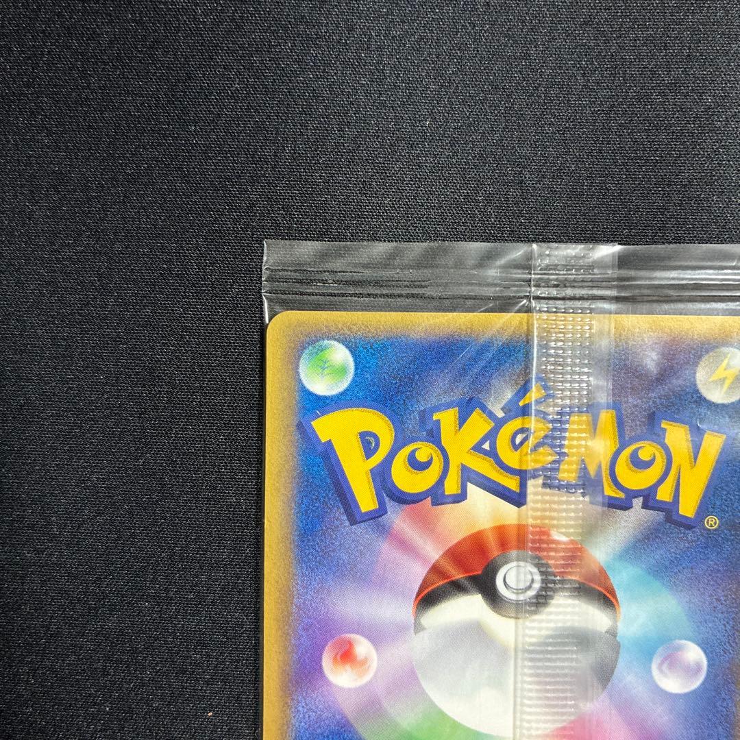 ポケパーク グラードン プロモ 042/PCG-P ポケモンカード