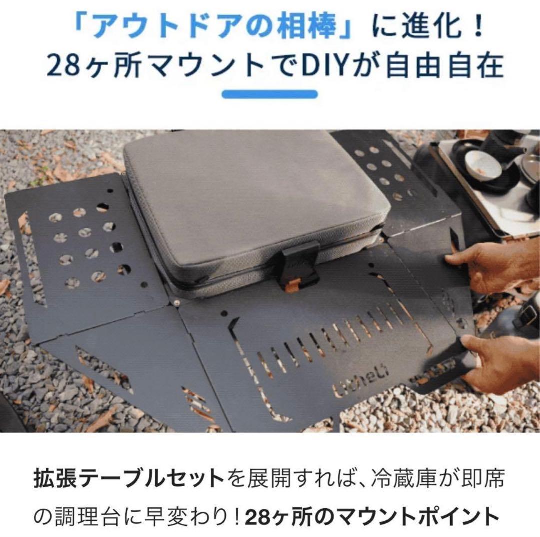 (値下げ) ポータブル冷蔵庫FrozenPack Wild Litheli