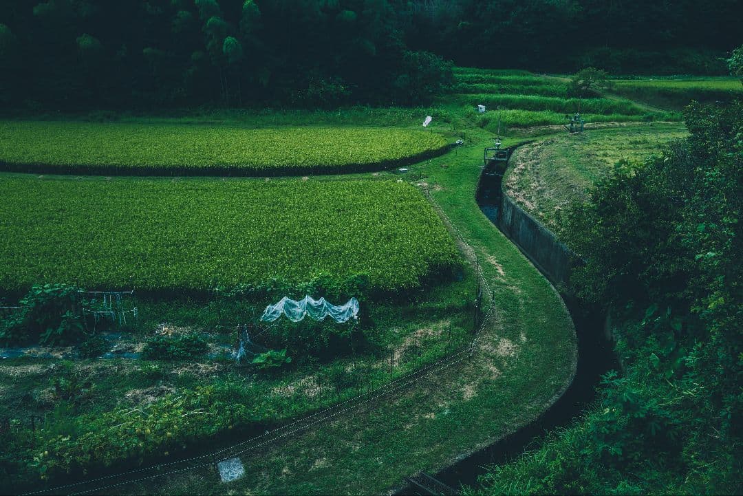 「【元箱付】LEICA Q2 完動品ブラックミスト・予備バッテリー付」作例有