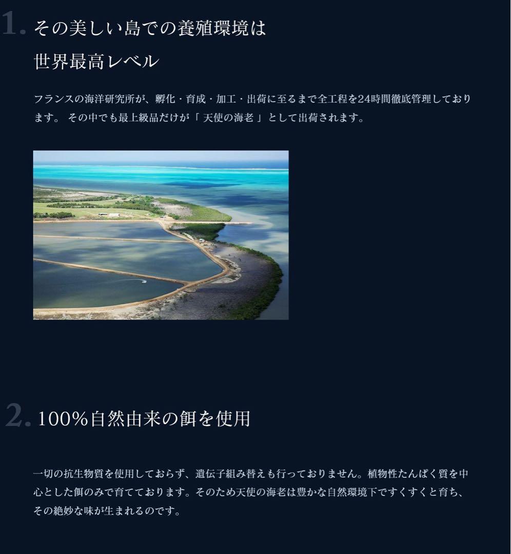suuu【刺身用】天使のえび 1kg 30〜40尾×2箱