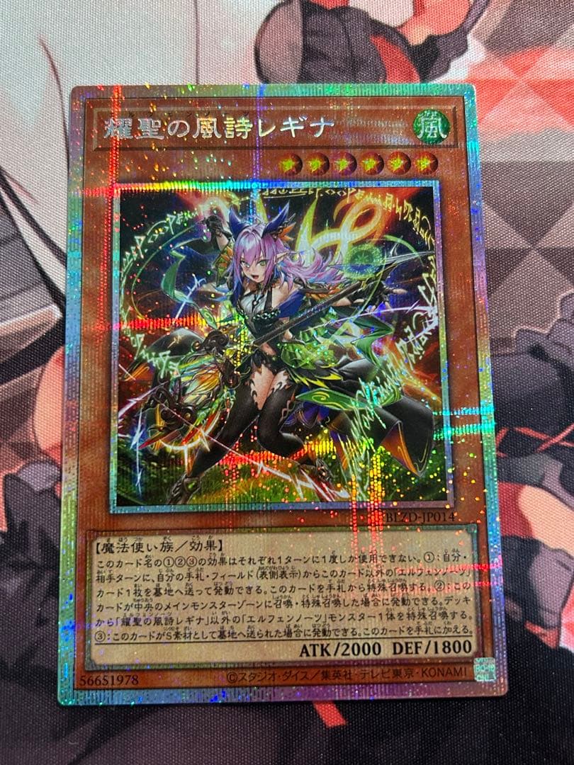 エルフェンノーツレギナ　プリシク