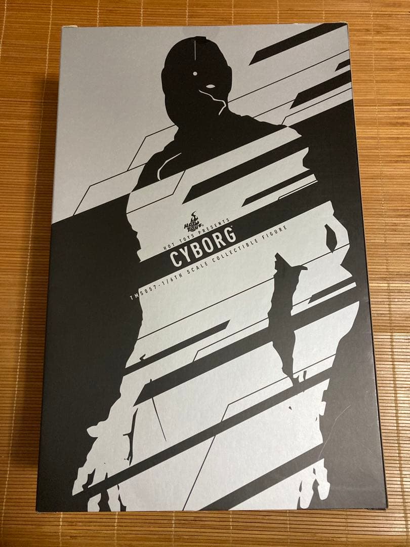 ホットトイズ テレビ・マスターピース サイボーグ TMS057