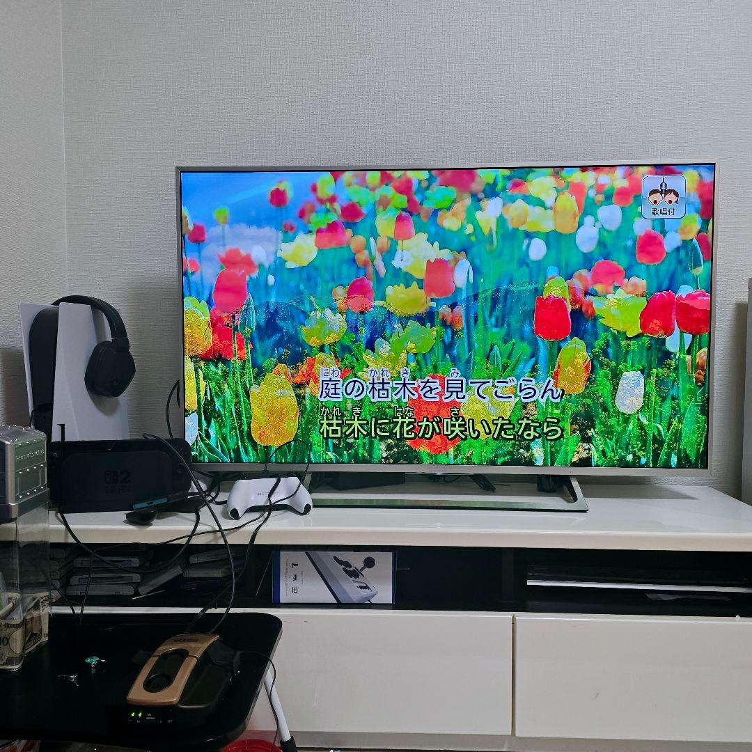 オンステージ パーソナルカラオケ PK-501WT 内蔵500曲