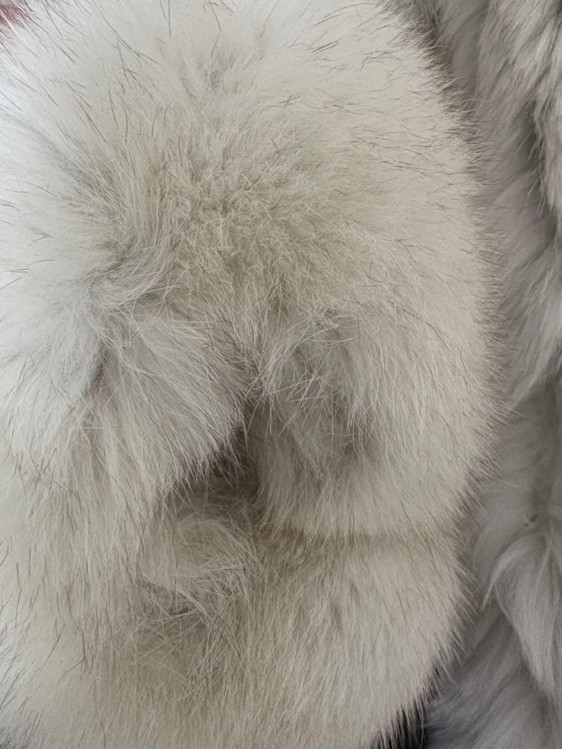 貴重！SAGA FOX ブルーフォックスファーコート