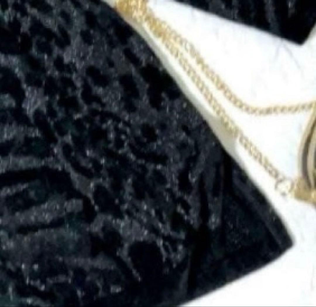 そ*ん様 美品　LEONARD レオナール　ベロア調　チュニック　厚手　L XL