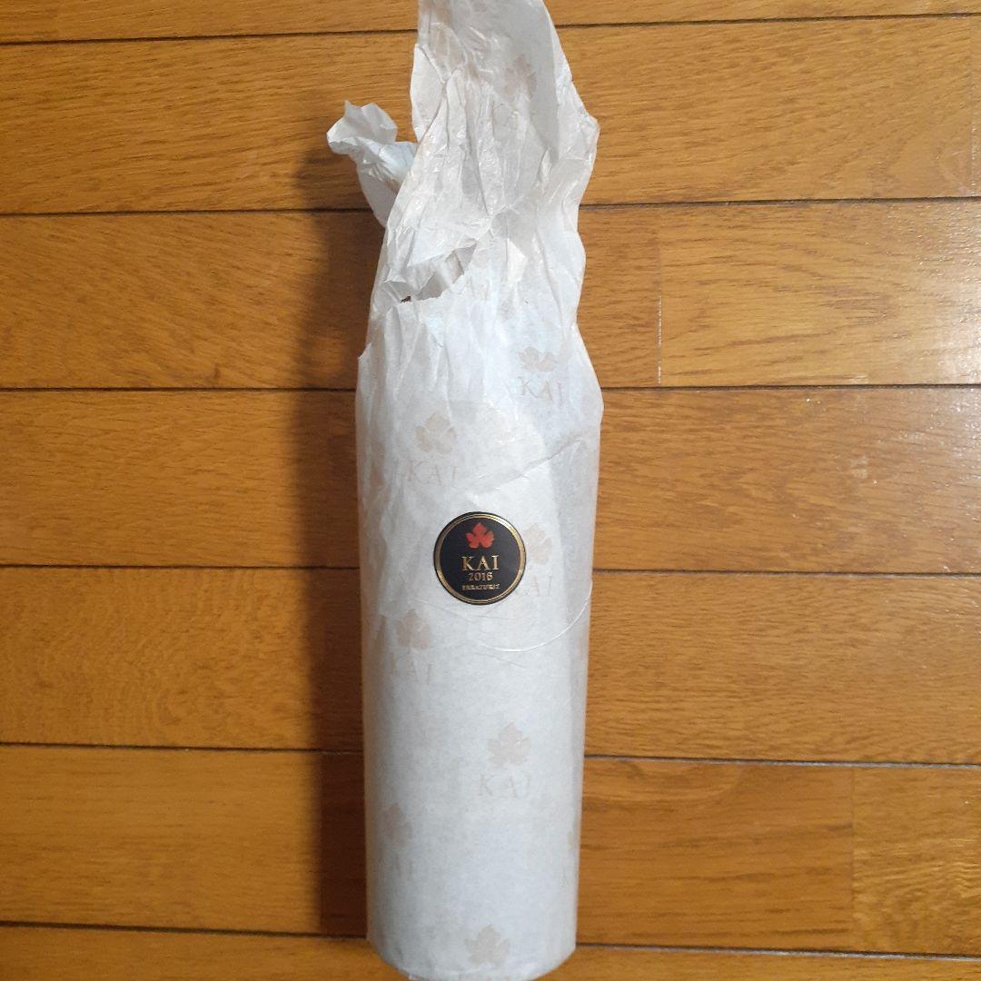 2016年KAI ERRAZURIZ