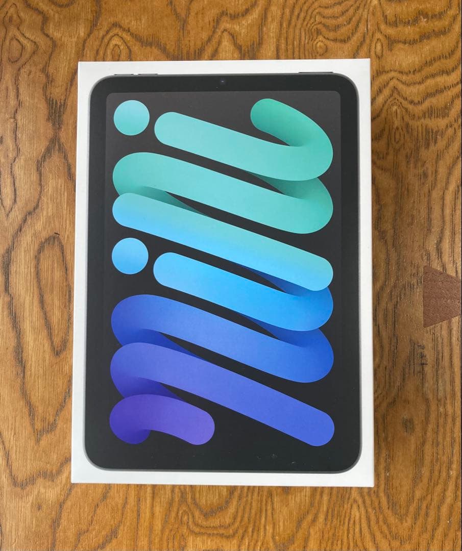 Apple iPad mini (第7世代) 256GB スペースグレー