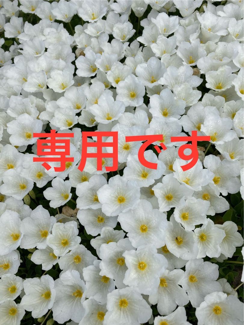 【まだい】キッチンカウンター 　ウォールナット色　幅120cm