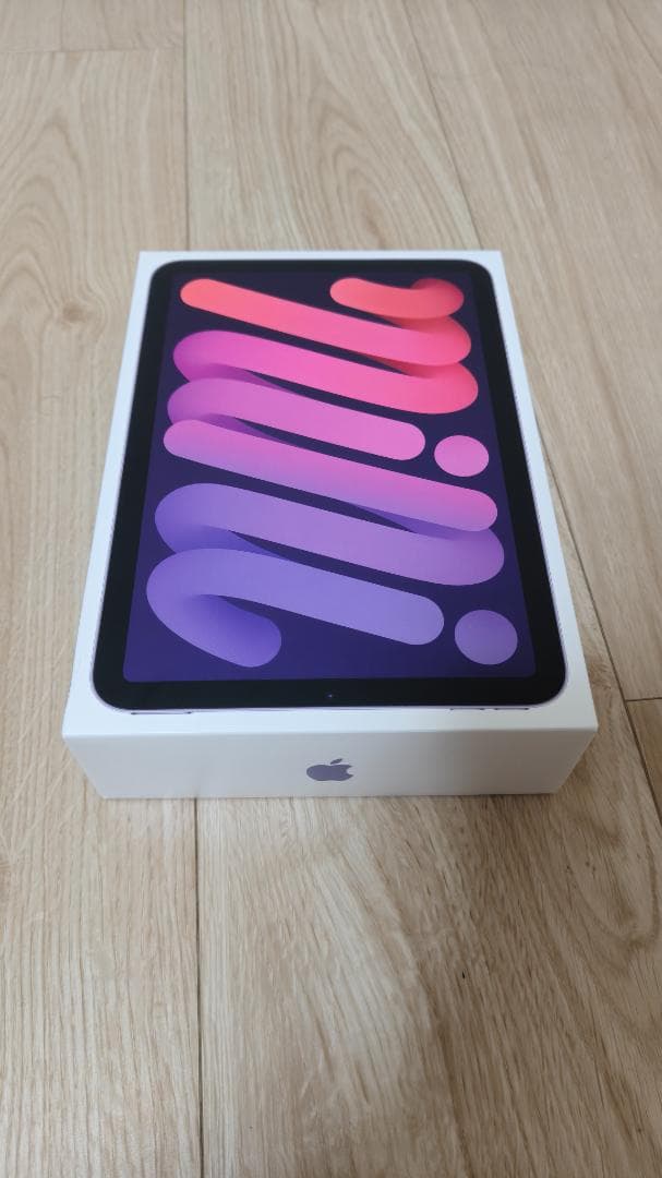 iPad mini 第6世代 (256GB/WiFiモデル)