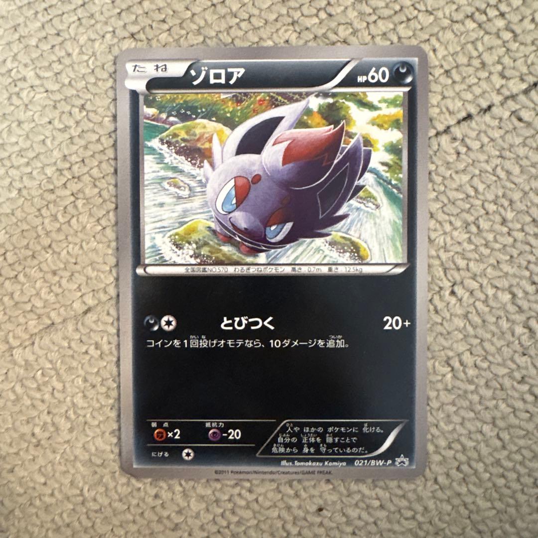 P*他様 ポケモンカード ゾロア HP60