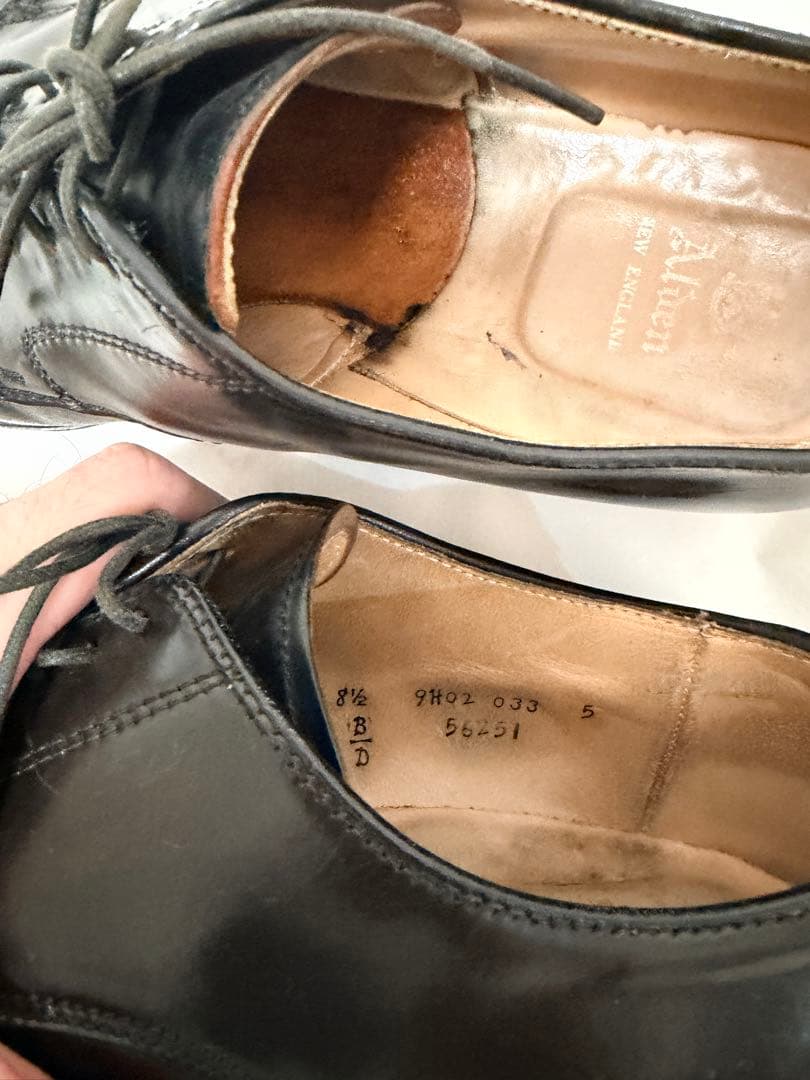 H*o様 Alden 56251 サイズ8 1/2 D