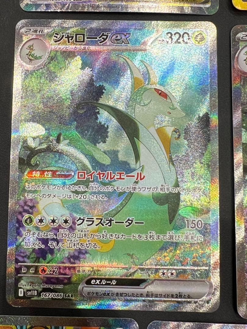 メガユキメノコ　メガルチャブル　ジャローダ　ソウブレイズ　SAR 他　まとめ